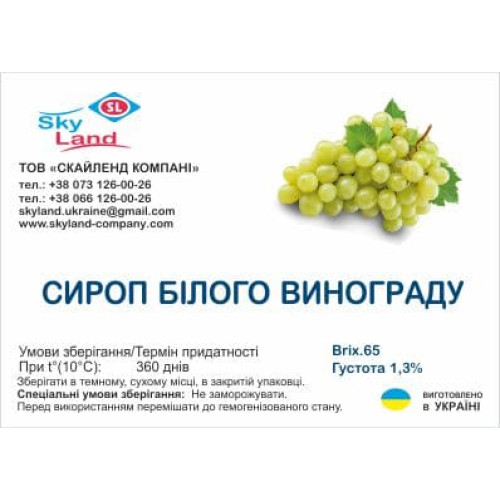 Сироп виноградный (белый виноград) 62 - 65 Вriх, густота 1.3% 1 кг Сироп виноградный (белый виноград) 62 - 65 Вriх, густота 1.3% 1 кг